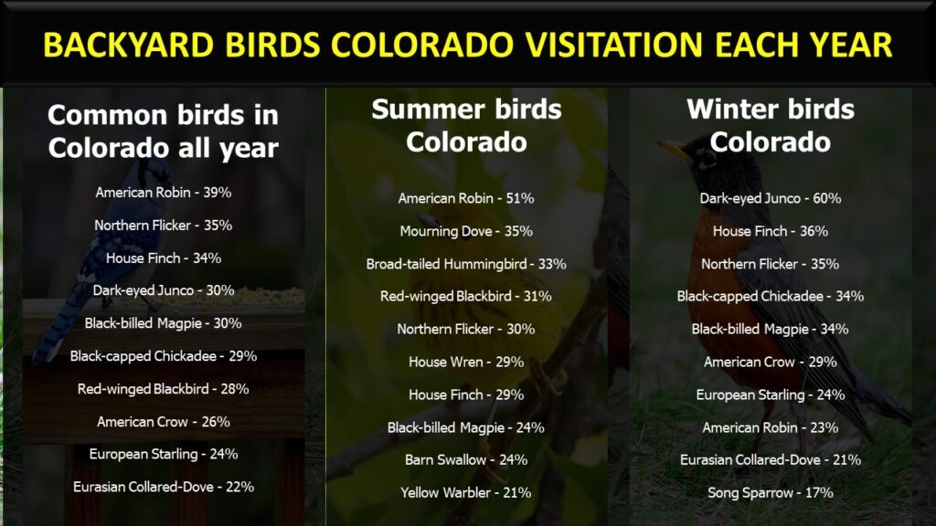 backyard-birds-colorado-yearly-visitation-1024x576-4079134